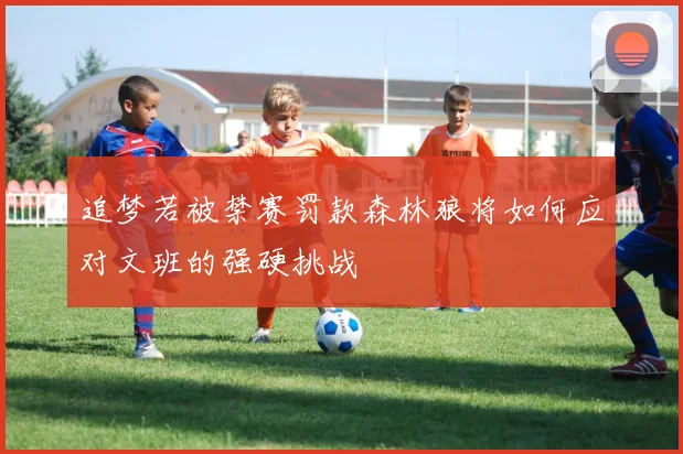追梦若被禁赛罚款森林狼将如何应对文班的强硬挑战