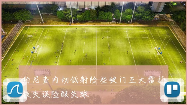 约尼查内切低射险些破门王大雷扑救失误险酿失球